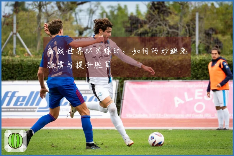 备战世界杯买球时，如何巧妙避免踩雷与提升胜算