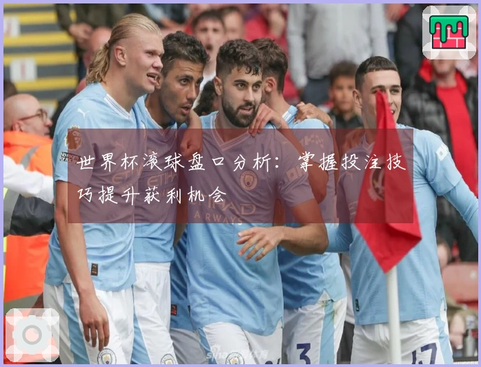 世界杯滚球盘口分析：掌握投注技巧提升获利机会