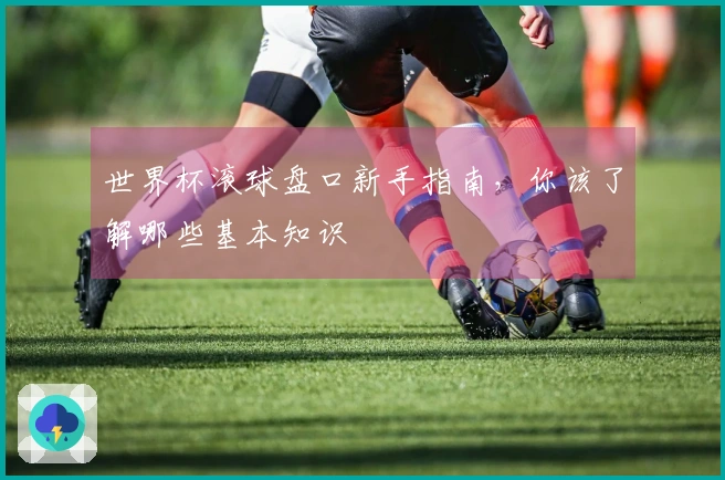 世界杯滚球盘口新手指南，你该了解哪些基本知识