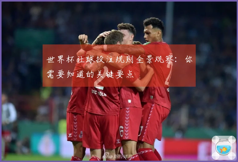 世界杯让球投注规则全景观察：你需要知道的关键要点