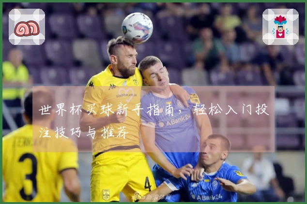 世界杯买球新手指南，轻松入门投注技巧与推荐