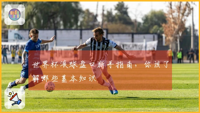 世界杯滚球盘口新手指南，你该了解哪些基本知识