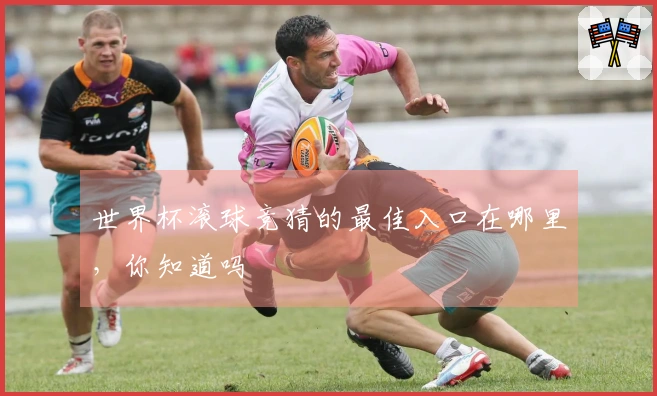 世界杯滚球竞猜的最佳入口在哪里，你知道吗